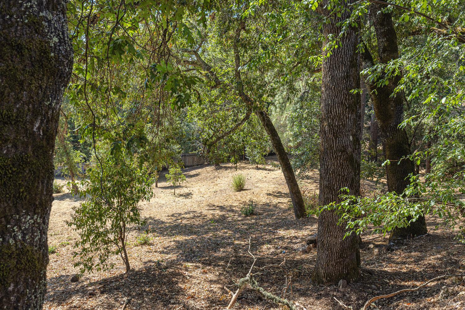 Detail Gallery Image 42 of 54 For 525 Keyes Ave, Angwin,  CA 94508 - 3 Beds | 2 Baths