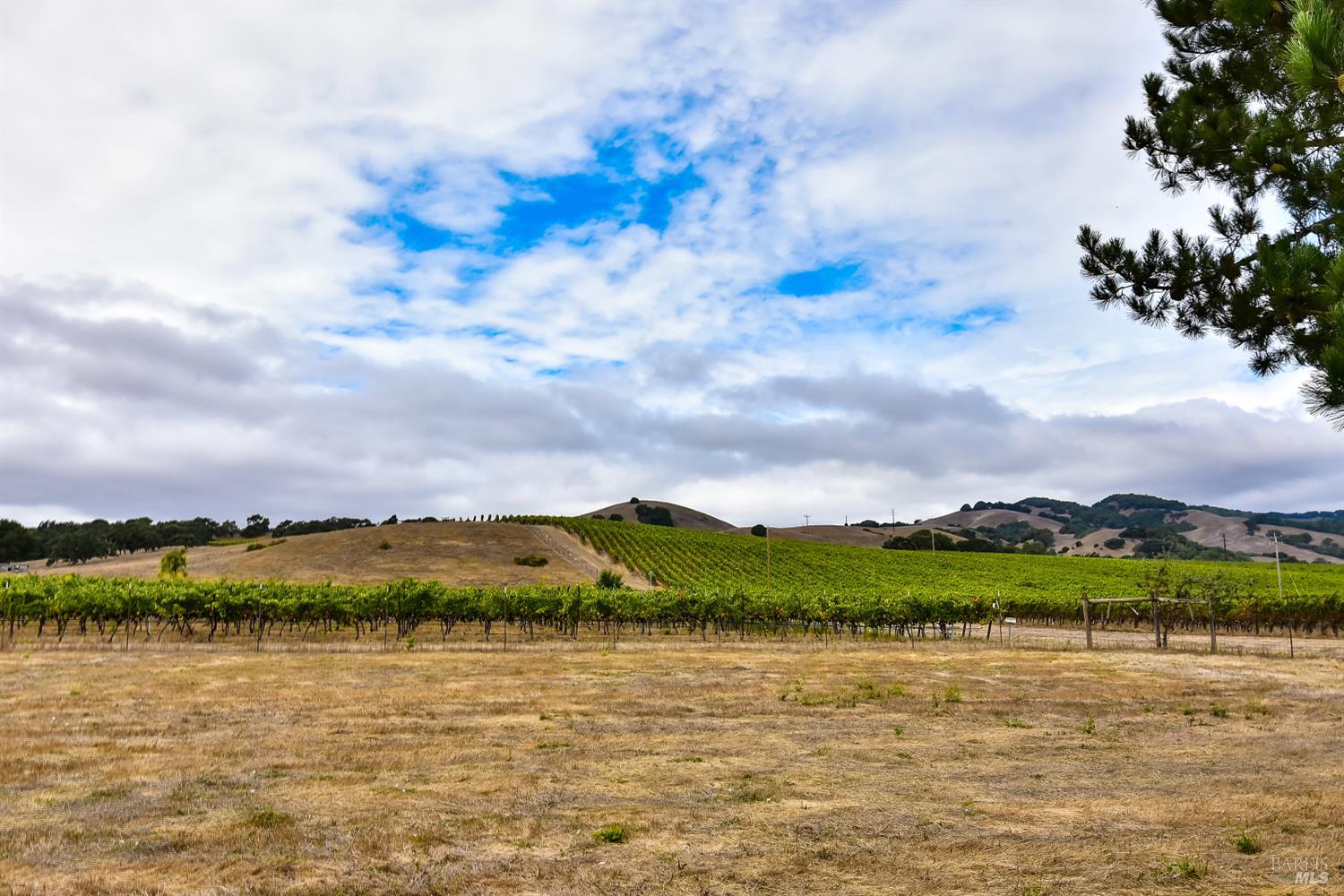 Detail Gallery Image 32 of 37 For 20772 Temelec Dr, Sonoma,  CA 95476 - 3 Beds | 2 Baths