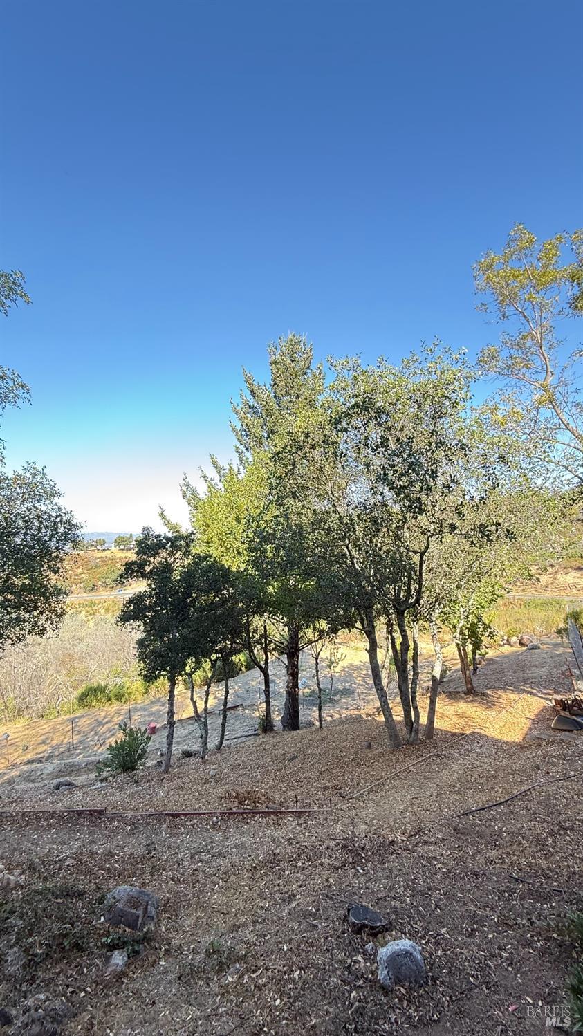 Detail Gallery Image 4 of 54 For 920 Crestmont Dr, Angwin,  CA 94508 - 5 Beds | 4 Baths