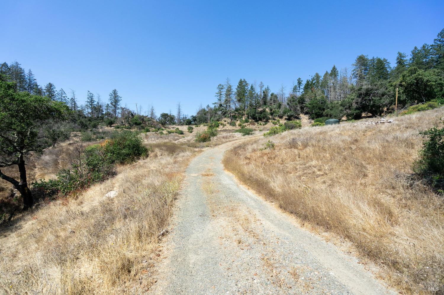 Detail Gallery Image 4 of 71 For 6583 St Helena Rd, Santa Rosa,  CA 95404 - – Beds | – Baths