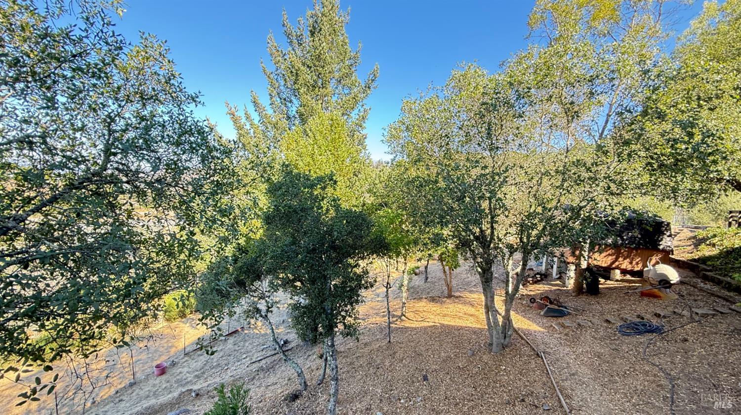 Detail Gallery Image 6 of 54 For 920 Crestmont Dr, Angwin,  CA 94508 - 5 Beds | 4 Baths