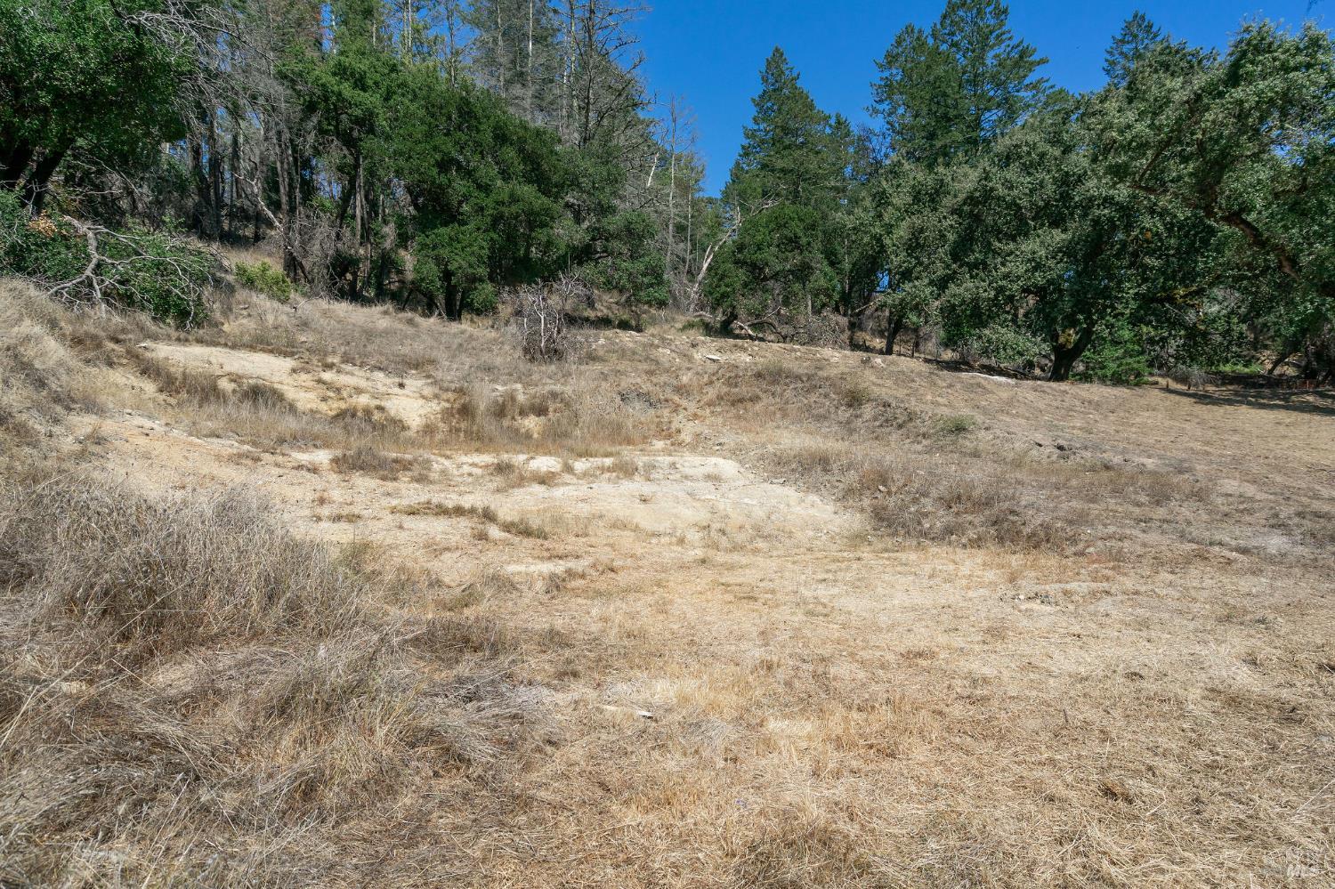 Detail Gallery Image 8 of 71 For 6583 St Helena Rd, Santa Rosa,  CA 95404 - – Beds | – Baths
