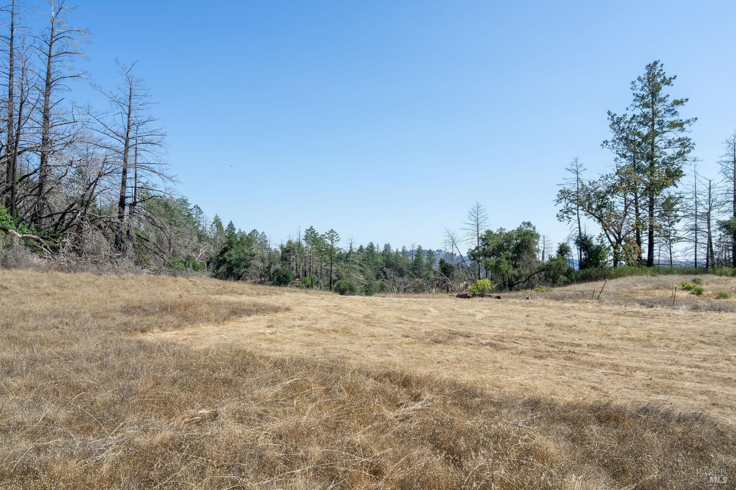 Detail Gallery Image 42 of 71 For 6583 St Helena Rd, Santa Rosa,  CA 95404 - – Beds | – Baths