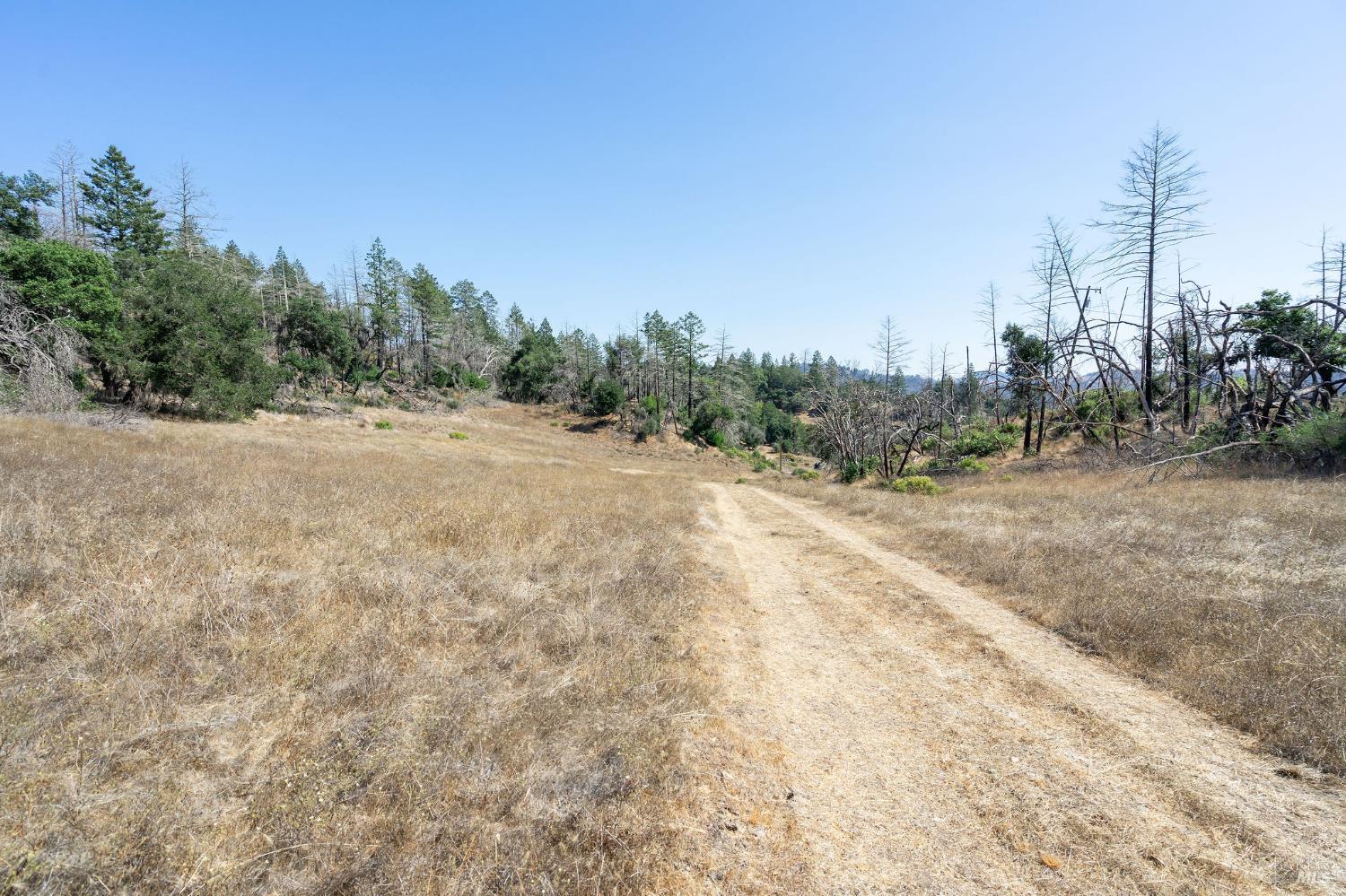Detail Gallery Image 40 of 71 For 6583 St Helena Rd, Santa Rosa,  CA 95404 - – Beds | – Baths