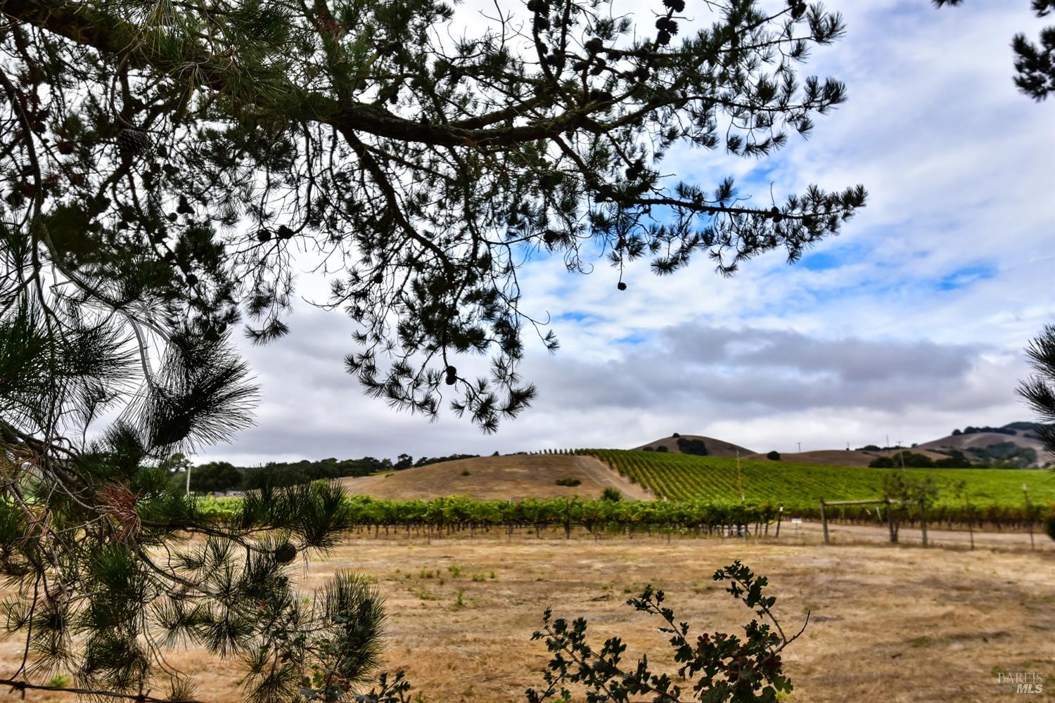 Detail Gallery Image 31 of 37 For 20772 Temelec Dr, Sonoma,  CA 95476 - 3 Beds | 2 Baths