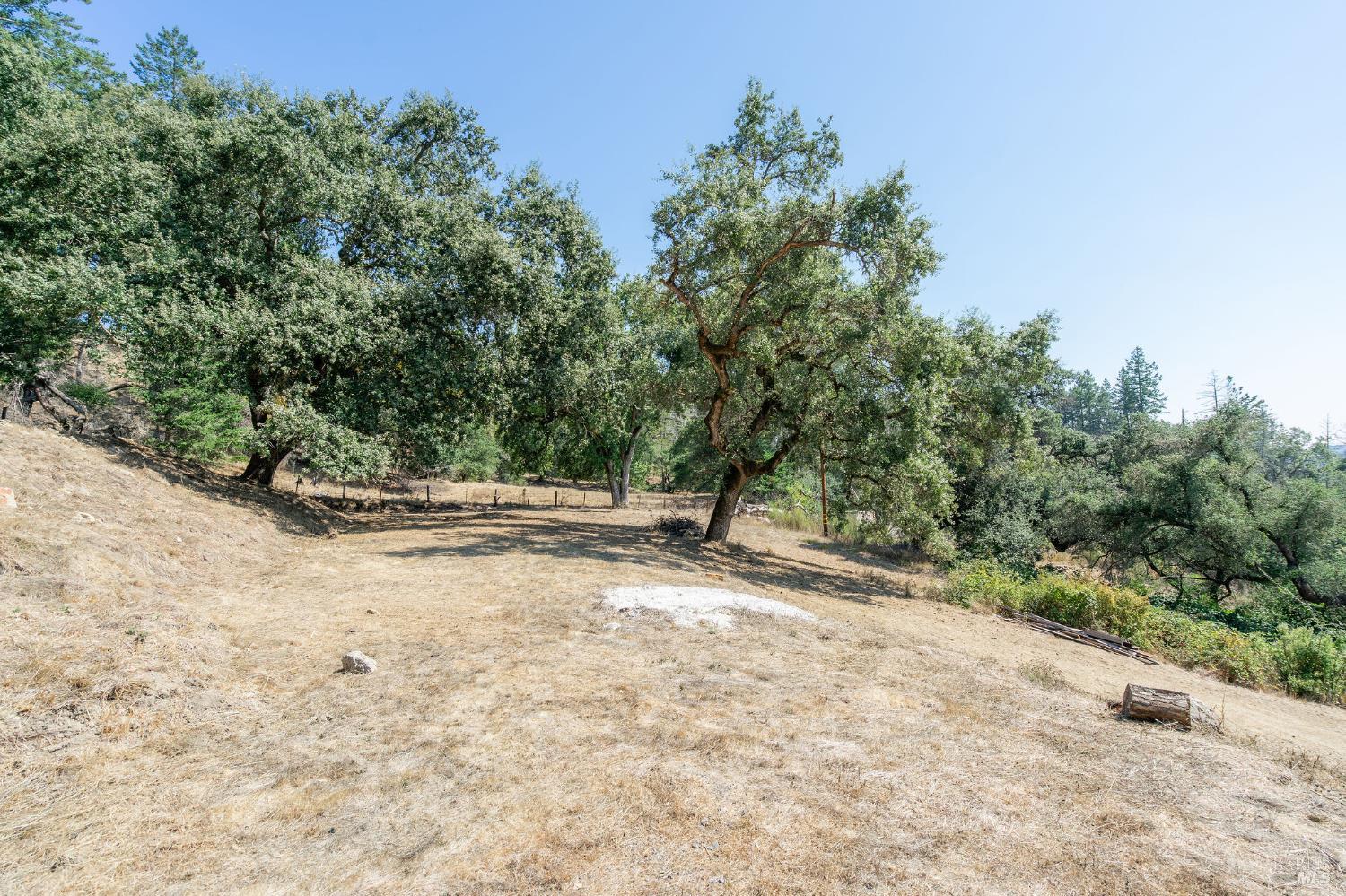 Detail Gallery Image 12 of 71 For 6583 St Helena Rd, Santa Rosa,  CA 95404 - – Beds | – Baths