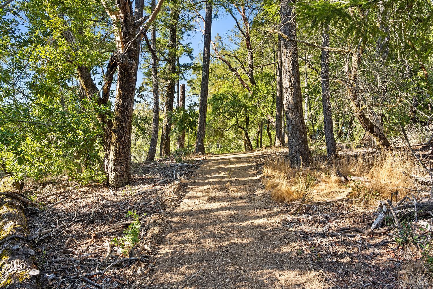 Detail Gallery Image 64 of 79 For 12936 Bones Ln, Sebastopol,  CA 95472 - 3 Beds | 2 Baths