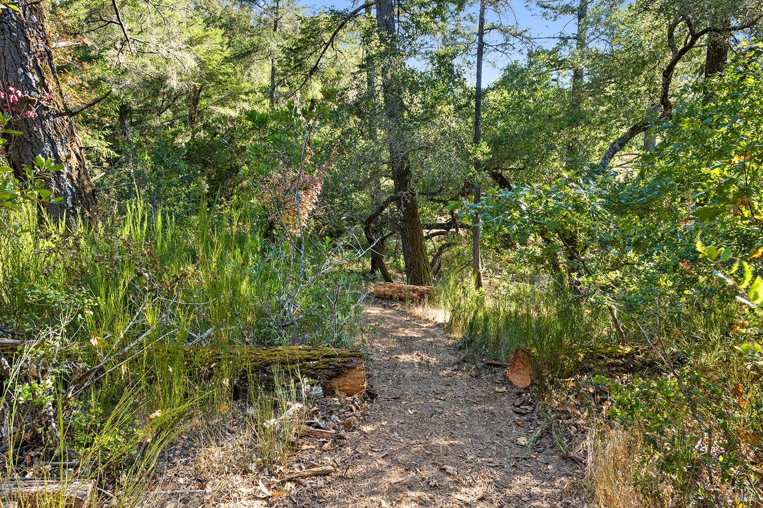 Detail Gallery Image 63 of 79 For 12936 Bones Ln, Sebastopol,  CA 95472 - 3 Beds | 2 Baths