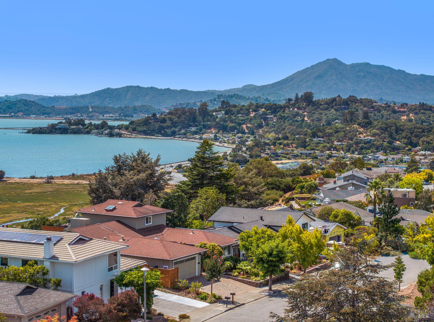 Detail Gallery Image 51 of 56 For 126 San Marino Dr, San Rafael,  CA 94901 - 5 Beds | 3/1 Baths