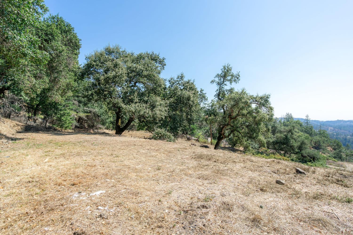 Detail Gallery Image 13 of 71 For 6583 St Helena Rd, Santa Rosa,  CA 95404 - – Beds | – Baths
