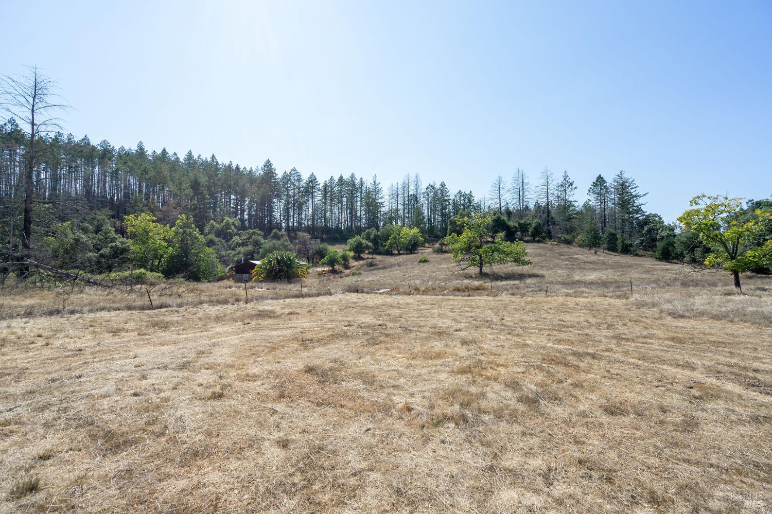 Detail Gallery Image 48 of 71 For 6583 St Helena Rd, Santa Rosa,  CA 95404 - – Beds | – Baths