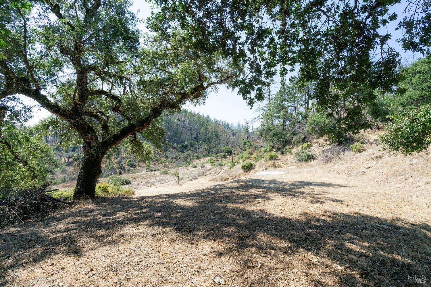 Detail Gallery Image 18 of 71 For 6583 St Helena Rd, Santa Rosa,  CA 95404 - – Beds | – Baths