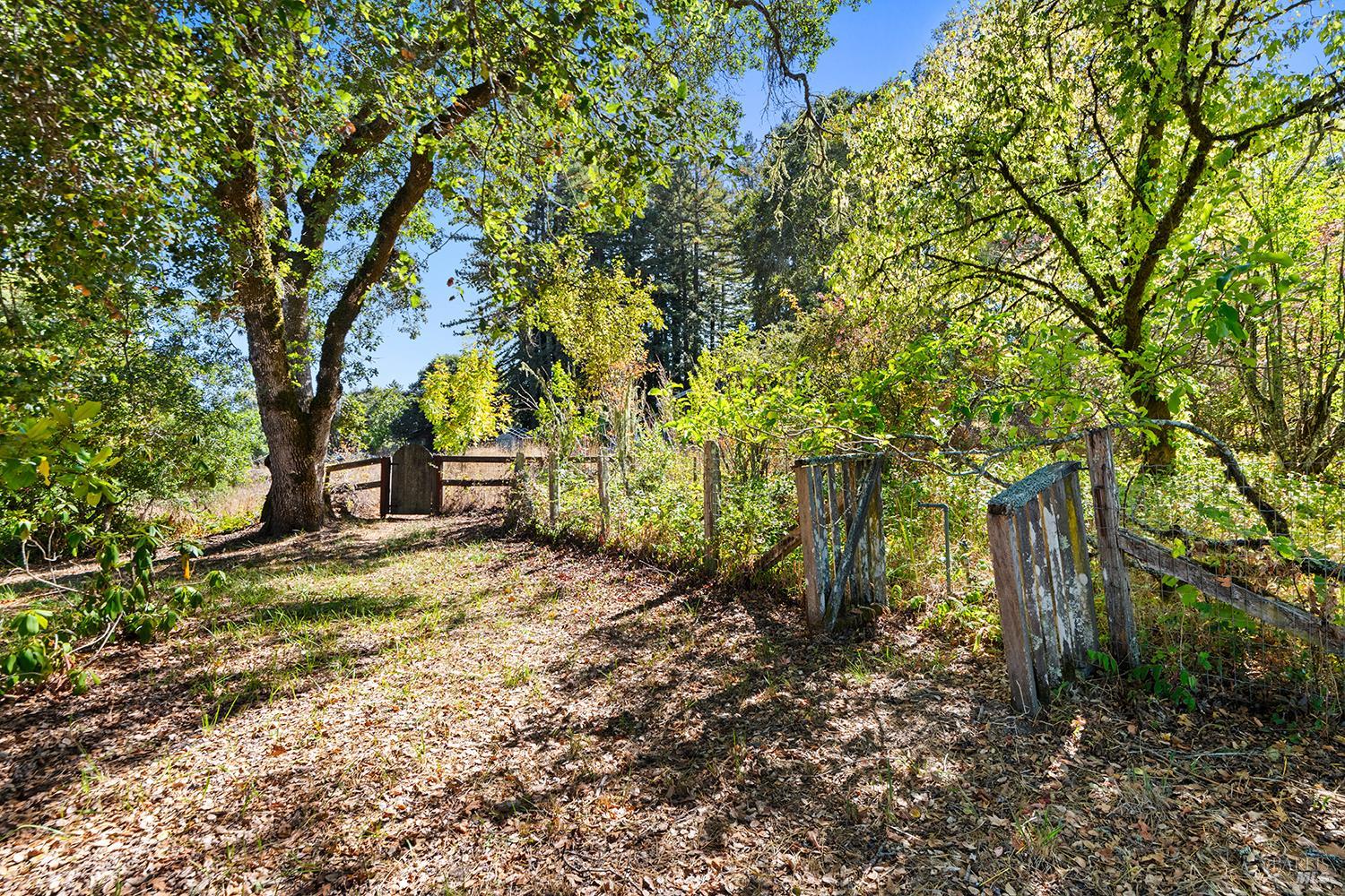 Detail Gallery Image 53 of 79 For 12936 Bones Ln, Sebastopol,  CA 95472 - 3 Beds | 2 Baths
