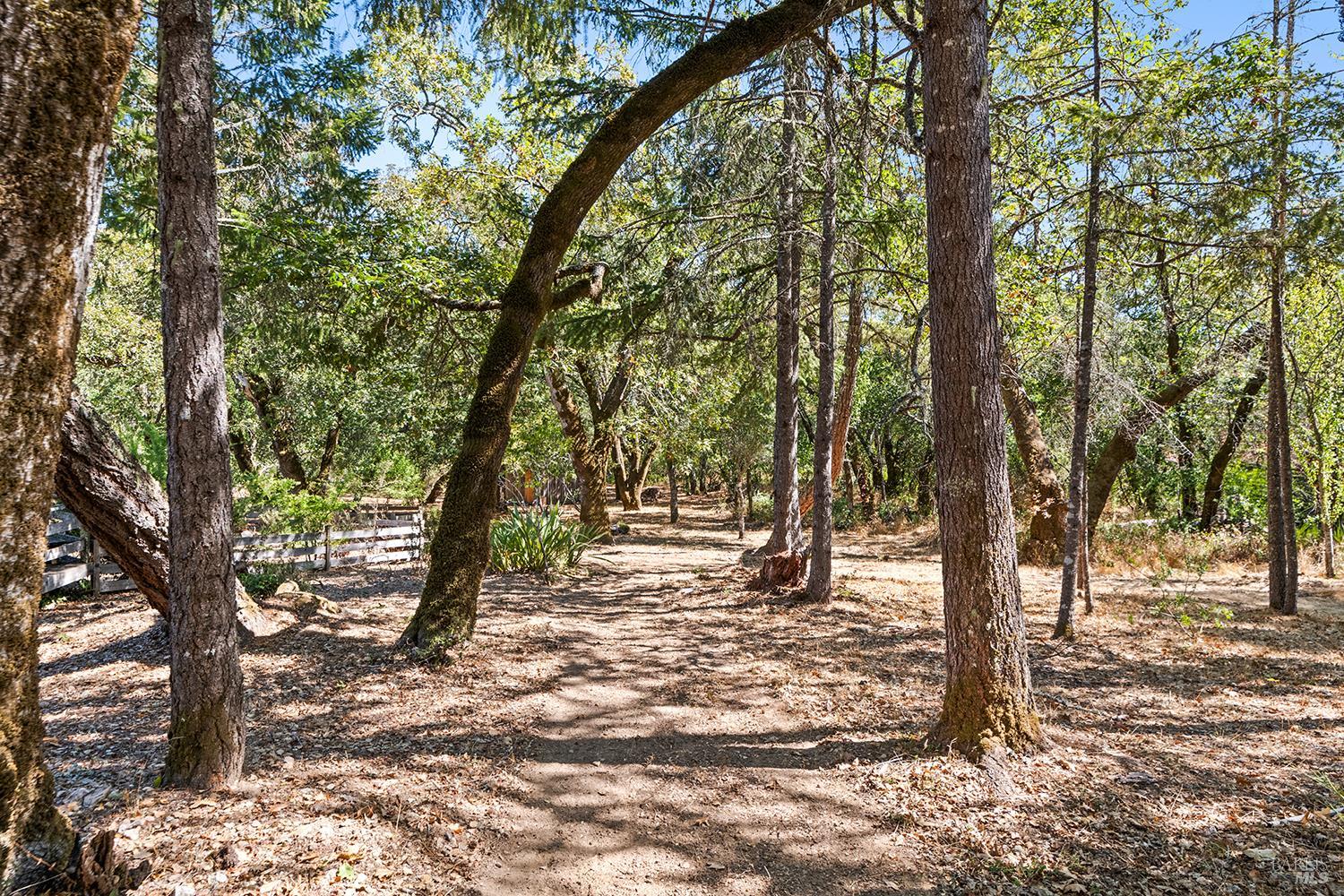 Detail Gallery Image 6 of 79 For 12936 Bones Ln, Sebastopol,  CA 95472 - 3 Beds | 2 Baths