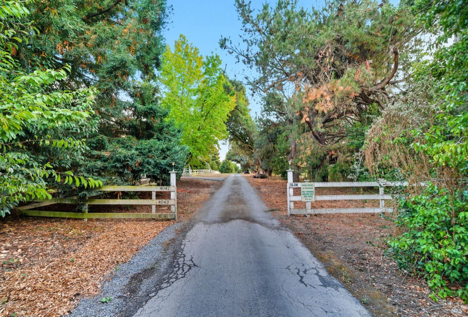 Detail Gallery Image 6 of 60 For 4047 Petaluma Blvd, Petaluma,  CA 94952 - 3 Beds | 2 Baths