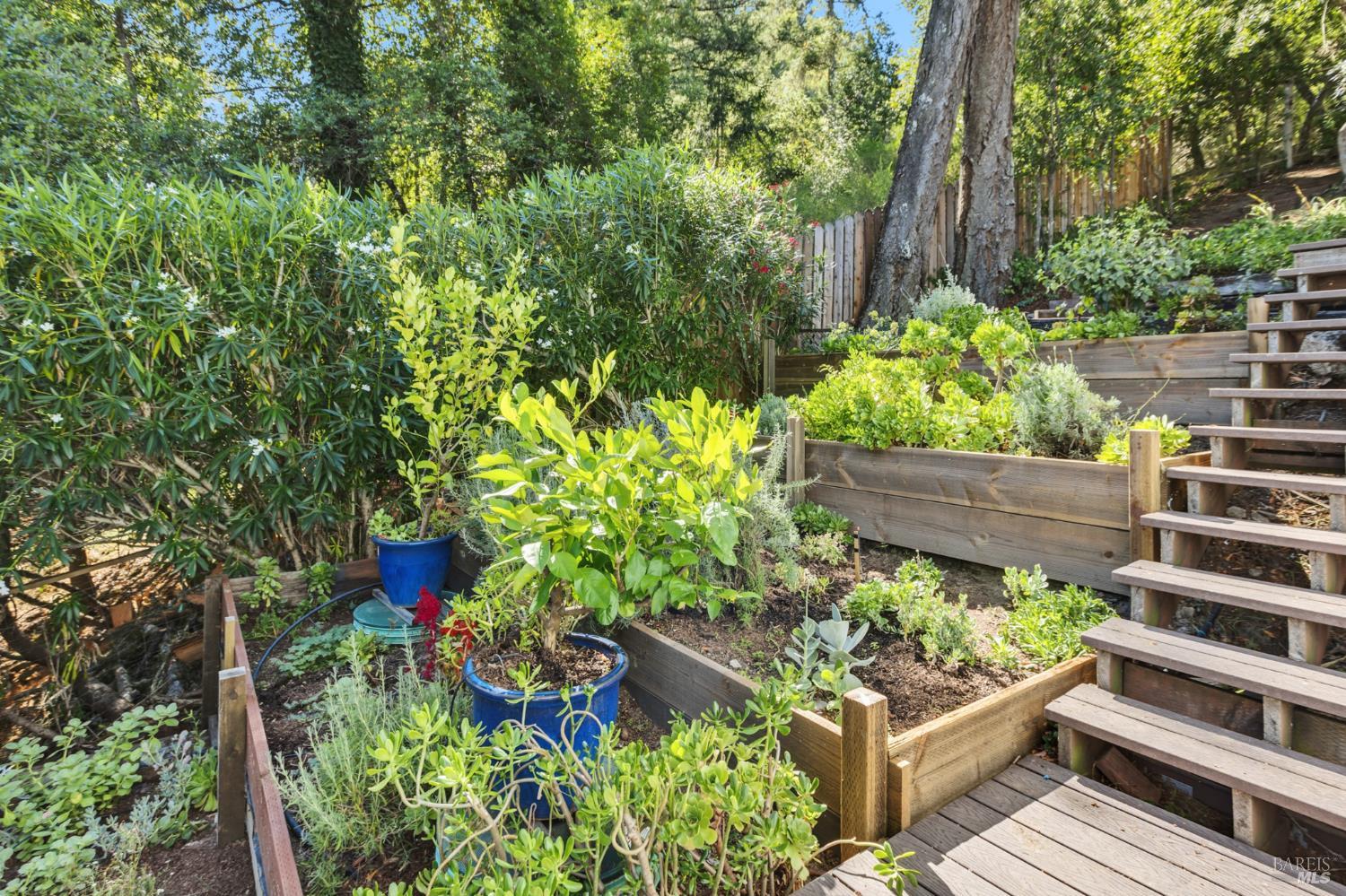 Detail Gallery Image 36 of 42 For 110 Alta Ave, Lagunitas,  CA 94938 - 2 Beds | 2 Baths