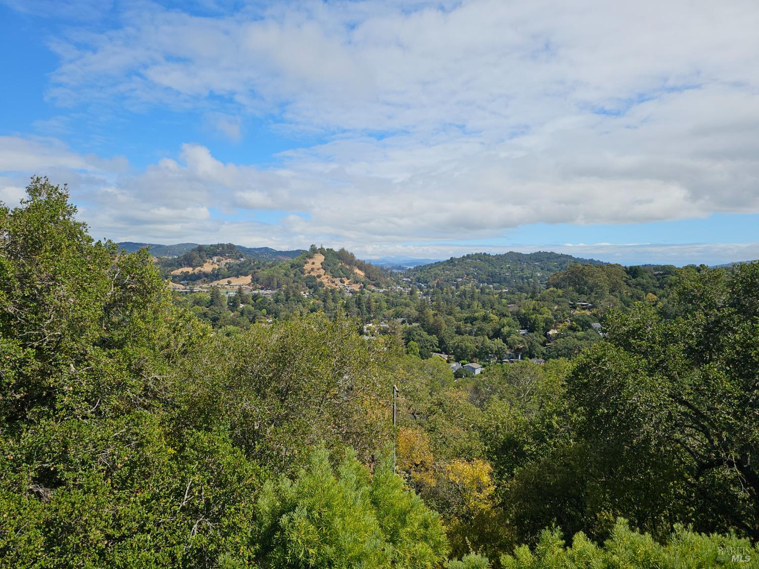 Detail Gallery Image 52 of 73 For 445 Scenic Ave, San Anselmo,  CA 94960 - 2 Beds | 2 Baths