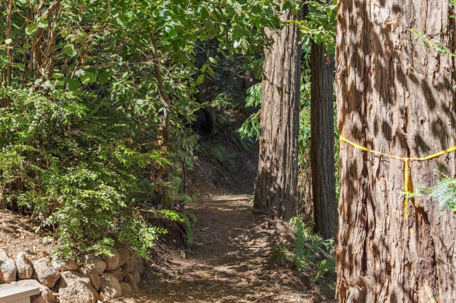 Detail Gallery Image 89 of 91 For 28 Marsh Dr, Mill Valley,  CA 94941 - 6 Beds | 4/1 Baths
