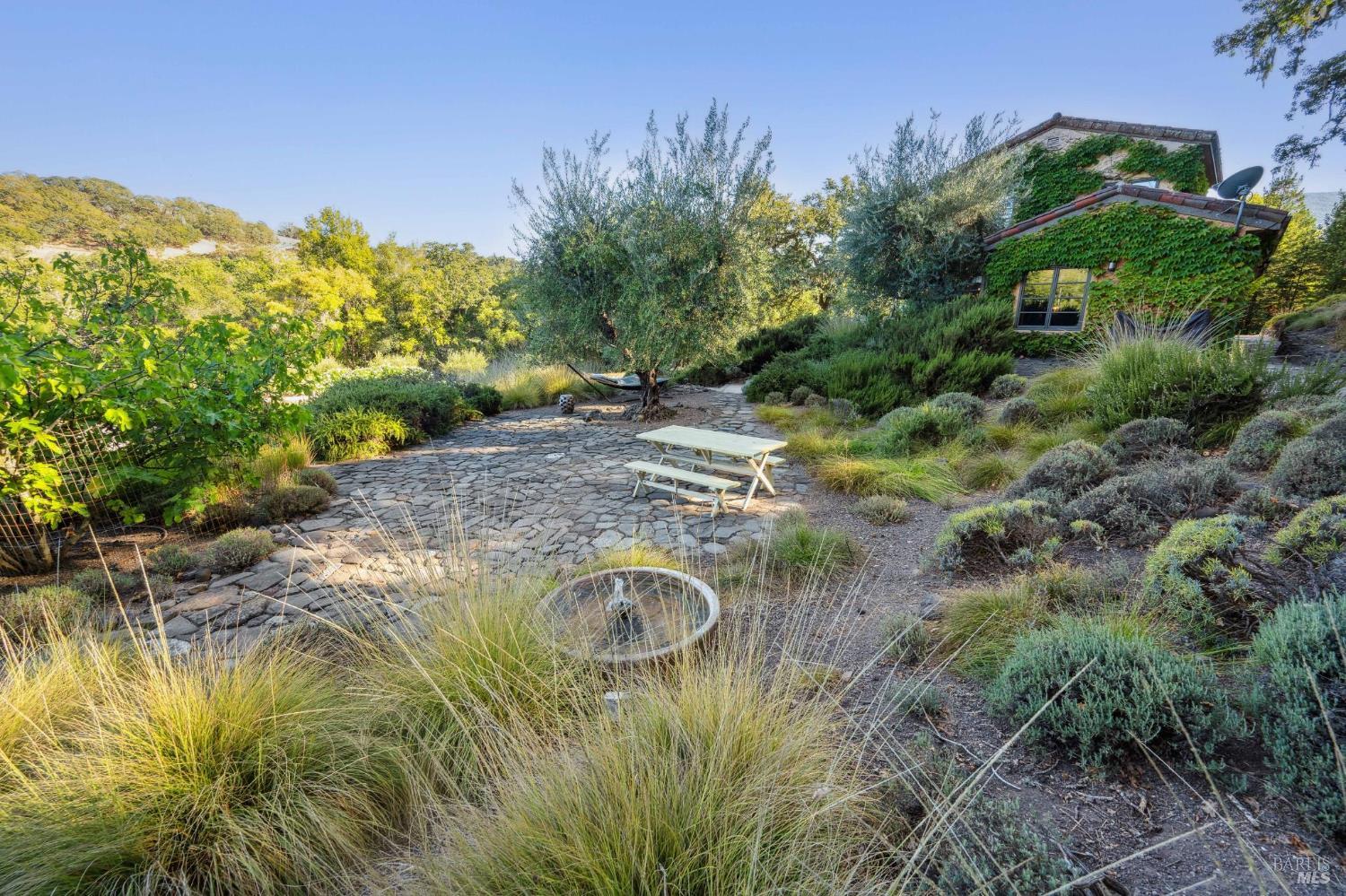 Detail Gallery Image 49 of 65 For 5323 Bennett Valley Ln, Sonoma,  CA 95476 - 3 Beds | 2 Baths