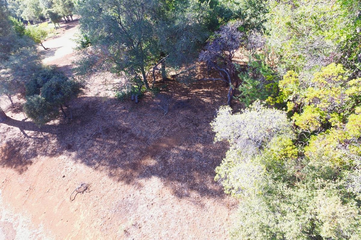 Detail Gallery Image 4 of 14 For 3407 Toyon Ct, Kelseyville,  CA 95451 - – Beds | – Baths