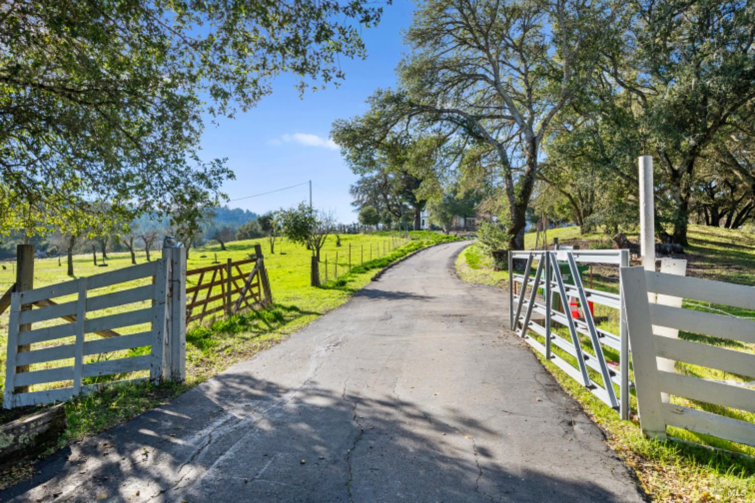 Detail Gallery Image 98 of 99 For 5175 Petrified Forest Rd, Calistoga,  CA 94515 - 3 Beds | 1 Baths