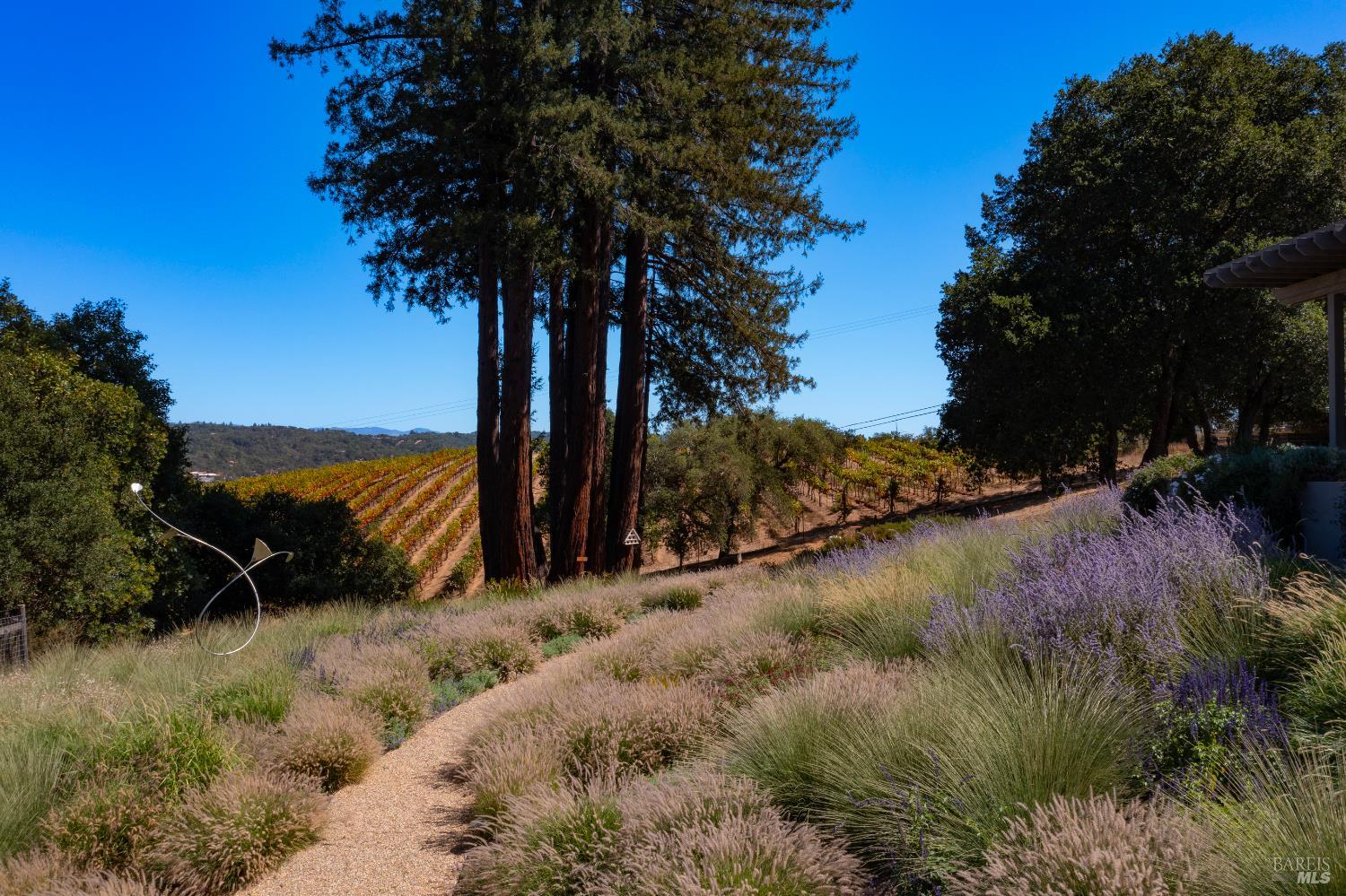 Detail Gallery Image 46 of 55 For 6317 W Dry Creek Rd, Healdsburg,  CA 95448 - 3 Beds | 3/1 Baths