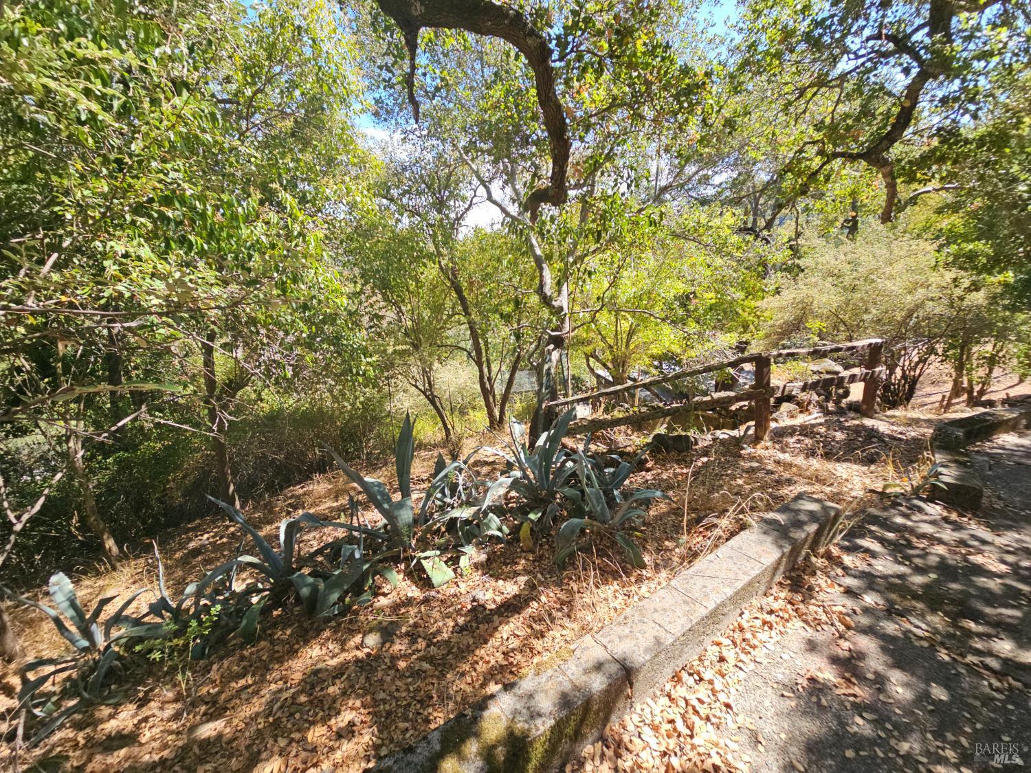 Detail Gallery Image 58 of 73 For 445 Scenic Ave, San Anselmo,  CA 94960 - 2 Beds | 2 Baths