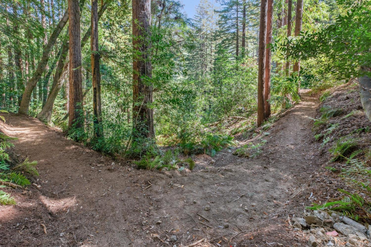 Detail Gallery Image 33 of 91 For 28 Marsh Dr, Mill Valley,  CA 94941 - 6 Beds | 4/1 Baths