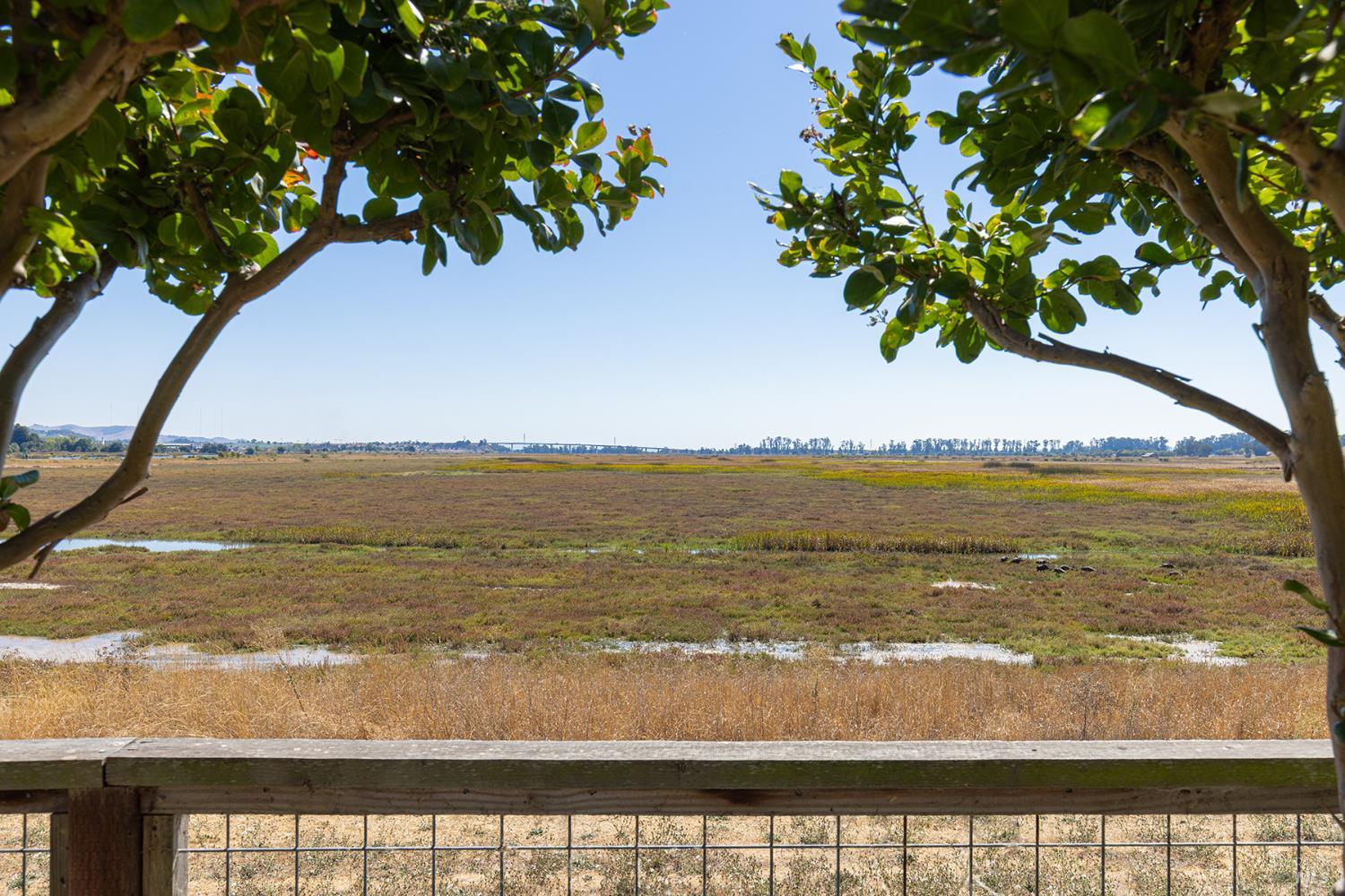 Detail Gallery Image 28 of 50 For 91 S Newport Dr, Napa,  CA 94559 - 3 Beds | 2 Baths