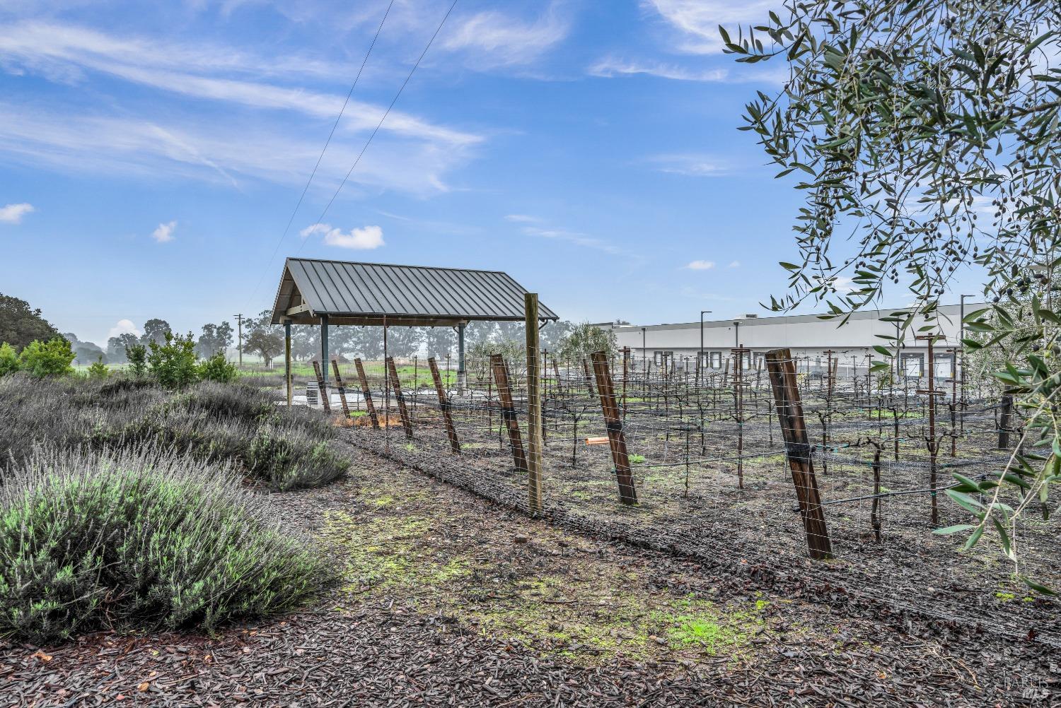 Detail Gallery Image 31 of 38 For 129 Devlin Rd, Napa,  CA 94558 - – Beds | – Baths