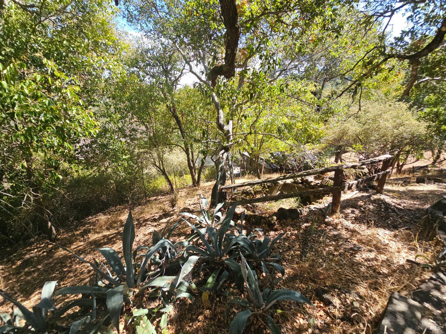 Detail Gallery Image 61 of 73 For 445 Scenic Ave, San Anselmo,  CA 94960 - 2 Beds | 2 Baths