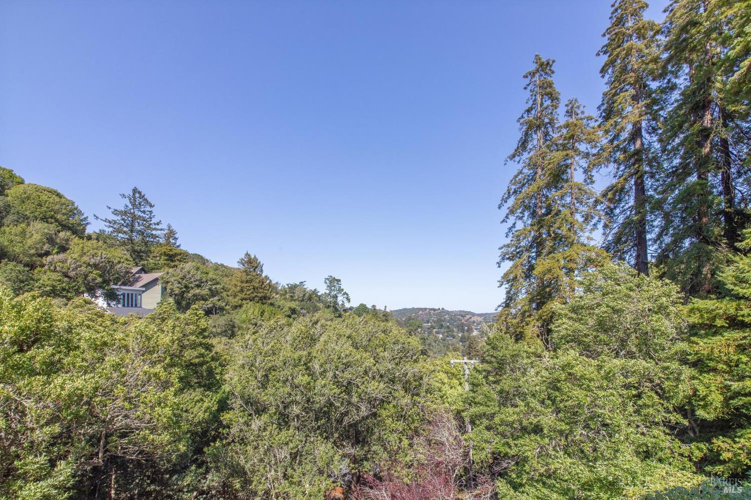 Detail Gallery Image 63 of 63 For 70 Madrone Park Cir, Mill Valley,  CA 94941 - 4 Beds | 2/1 Baths