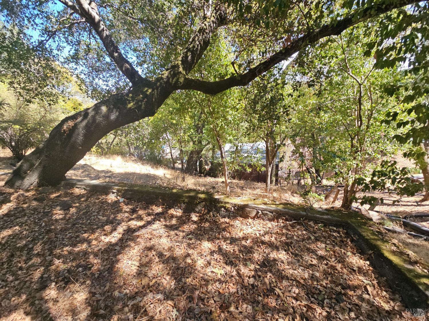 Detail Gallery Image 53 of 73 For 445 Scenic Ave, San Anselmo,  CA 94960 - 2 Beds | 2 Baths