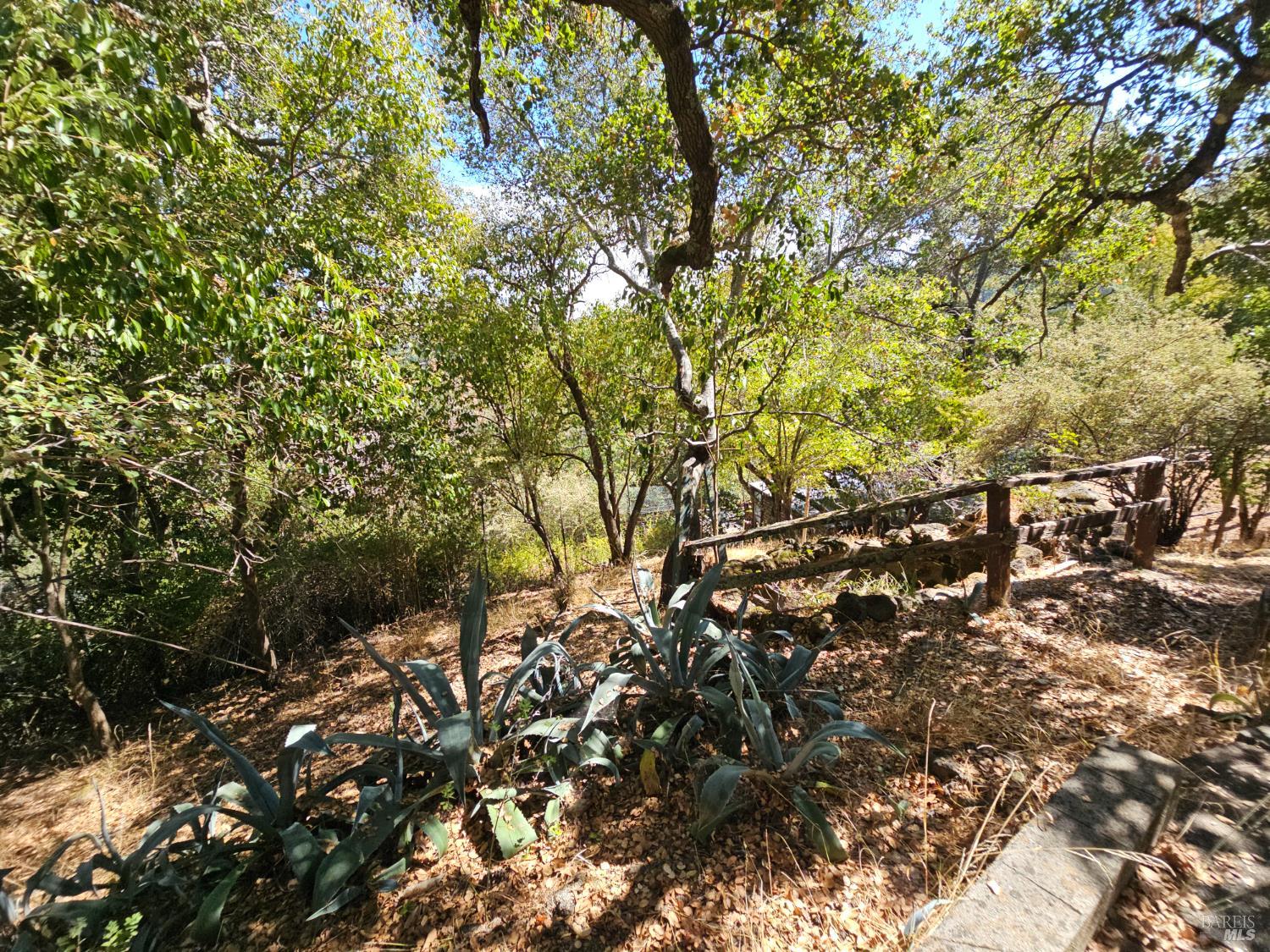 Detail Gallery Image 63 of 73 For 445 Scenic Ave, San Anselmo,  CA 94960 - 2 Beds | 2 Baths