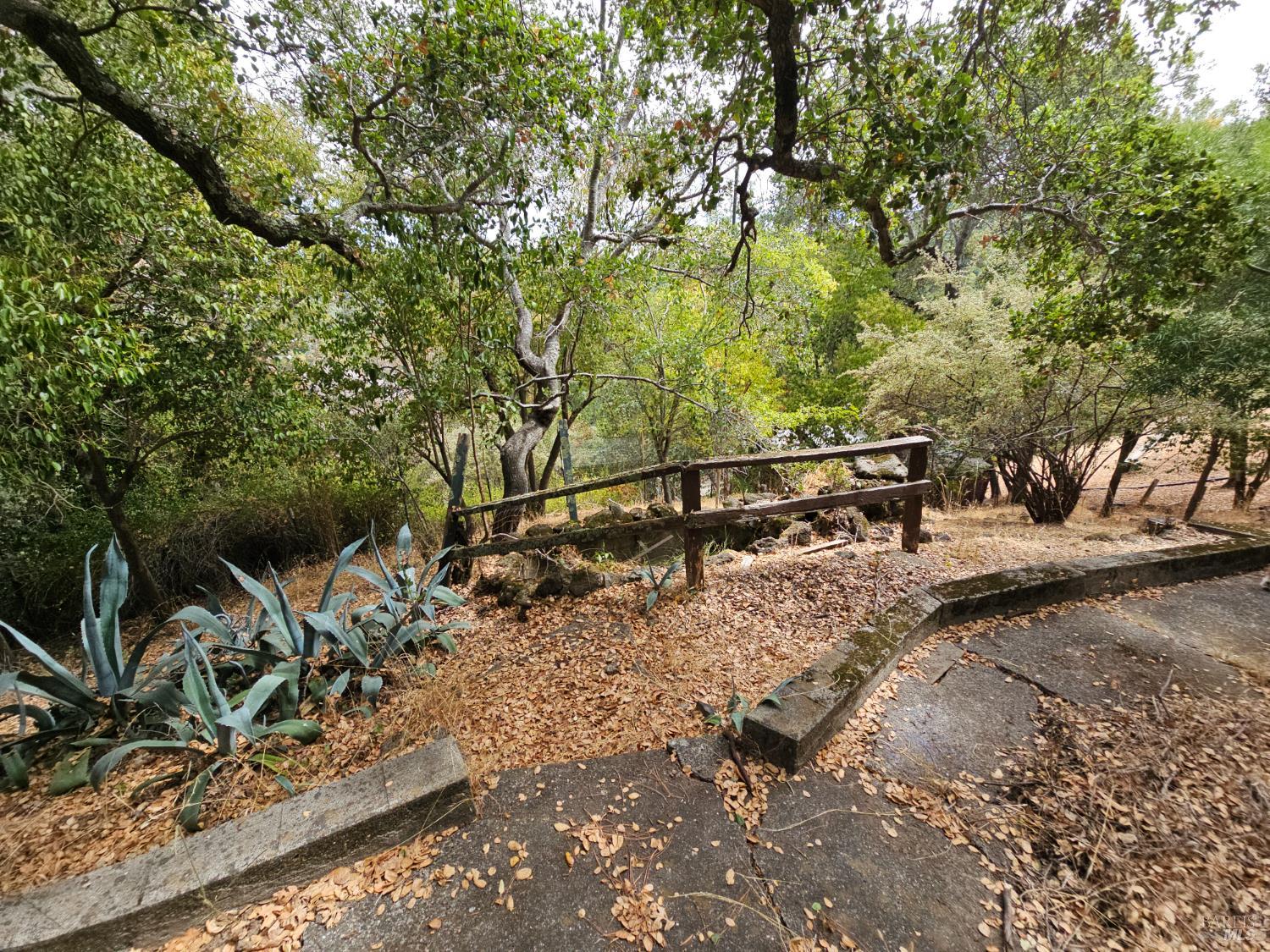 Detail Gallery Image 51 of 73 For 445 Scenic Ave, San Anselmo,  CA 94960 - 2 Beds | 2 Baths