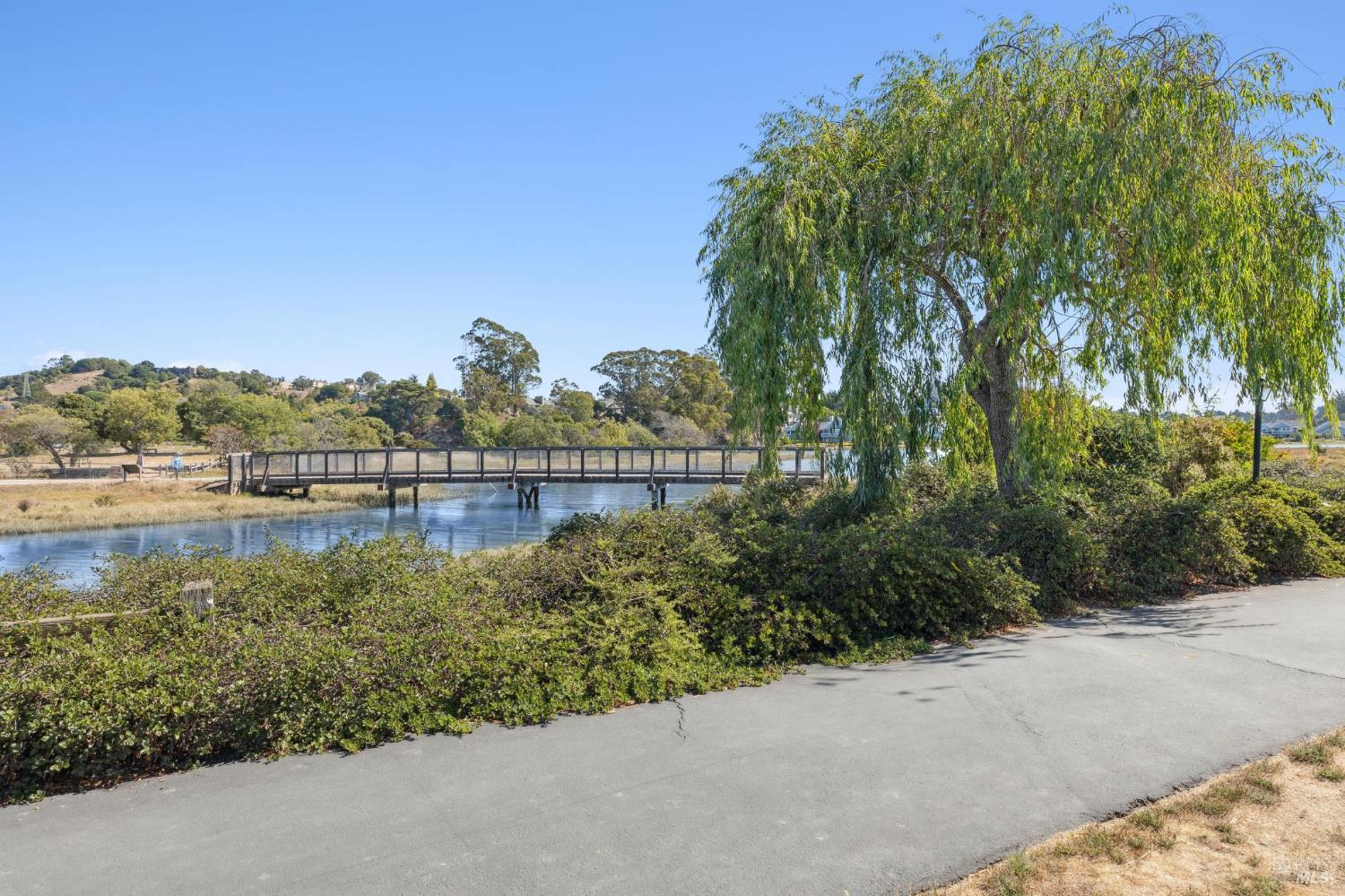 Detail Gallery Image 45 of 52 For 775 Miller Ave, Mill Valley,  CA 94941 - 1 Beds | 1 Baths