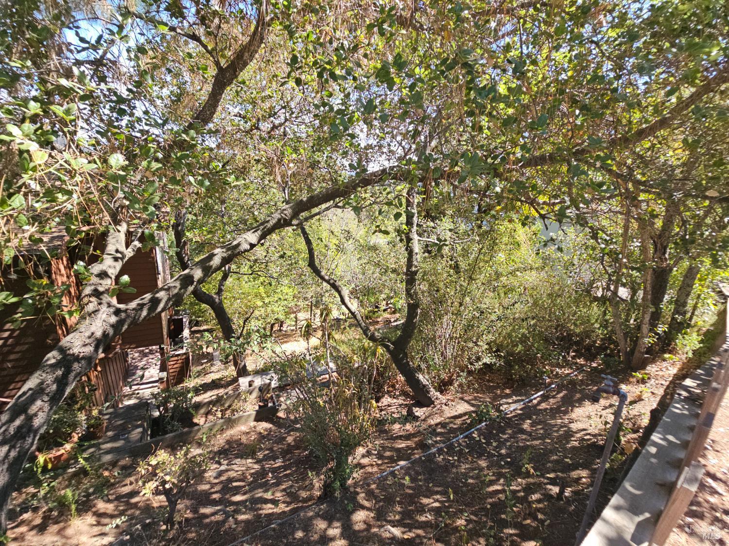 Detail Gallery Image 73 of 73 For 445 Scenic Ave, San Anselmo,  CA 94960 - 2 Beds | 2 Baths