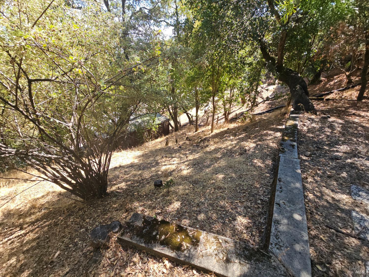 Detail Gallery Image 59 of 73 For 445 Scenic Ave, San Anselmo,  CA 94960 - 2 Beds | 2 Baths