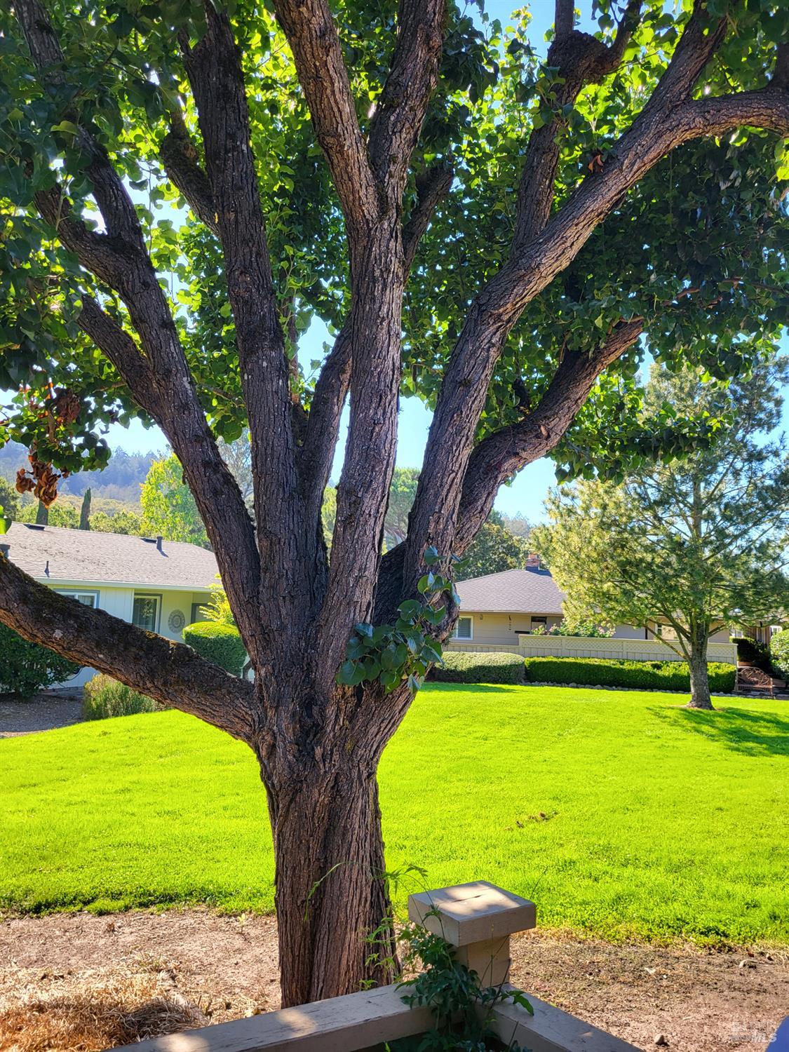 Detail Gallery Image 9 of 11 For 404 Meadowgreen Dr, Santa Rosa,  CA 95409 - 2 Beds | 2 Baths