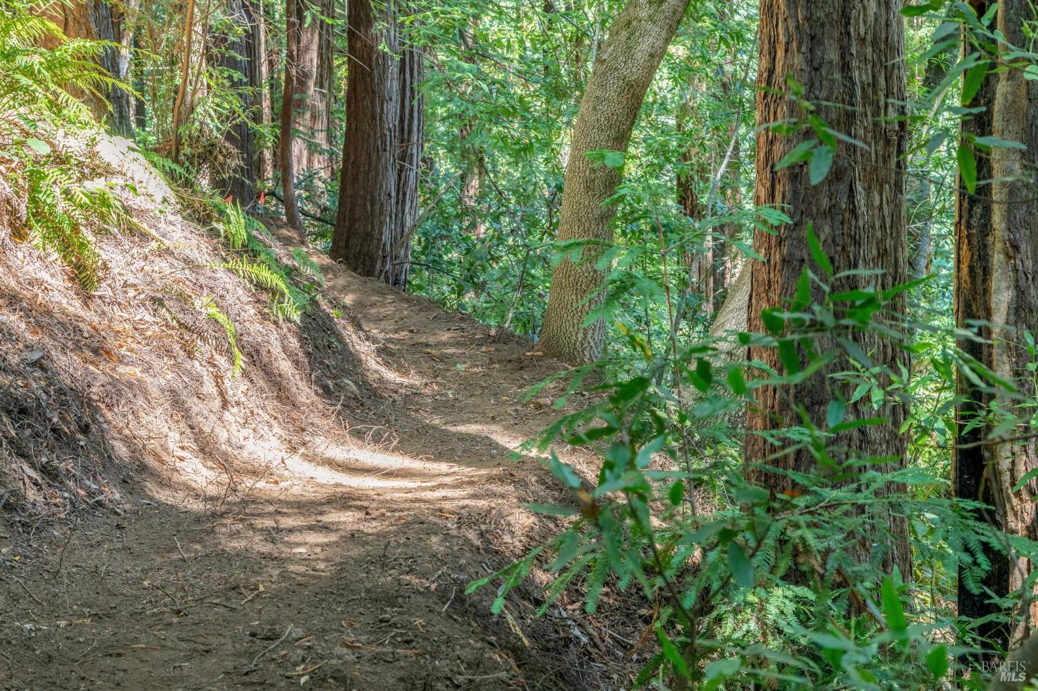 Detail Gallery Image 6 of 91 For 28 Marsh Dr, Mill Valley,  CA 94941 - 6 Beds | 4/1 Baths