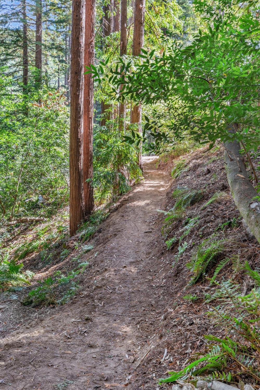 Detail Gallery Image 90 of 91 For 28 Marsh Dr, Mill Valley,  CA 94941 - 6 Beds | 4/1 Baths