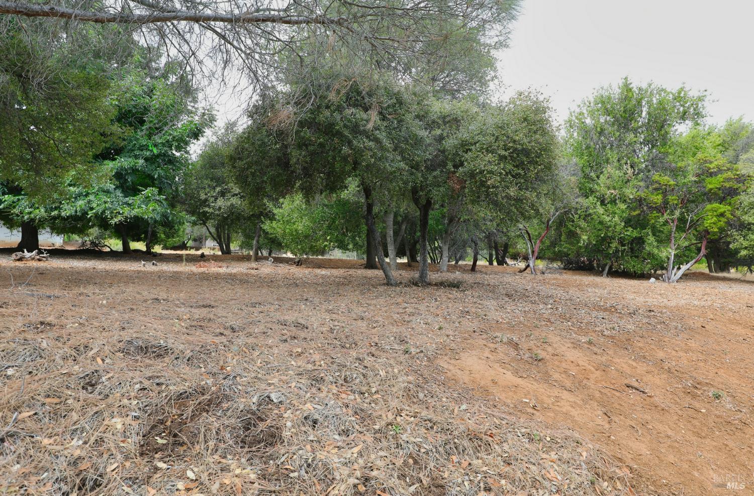 Detail Gallery Image 13 of 14 For 3407 Toyon Ct, Kelseyville,  CA 95451 - – Beds | – Baths
