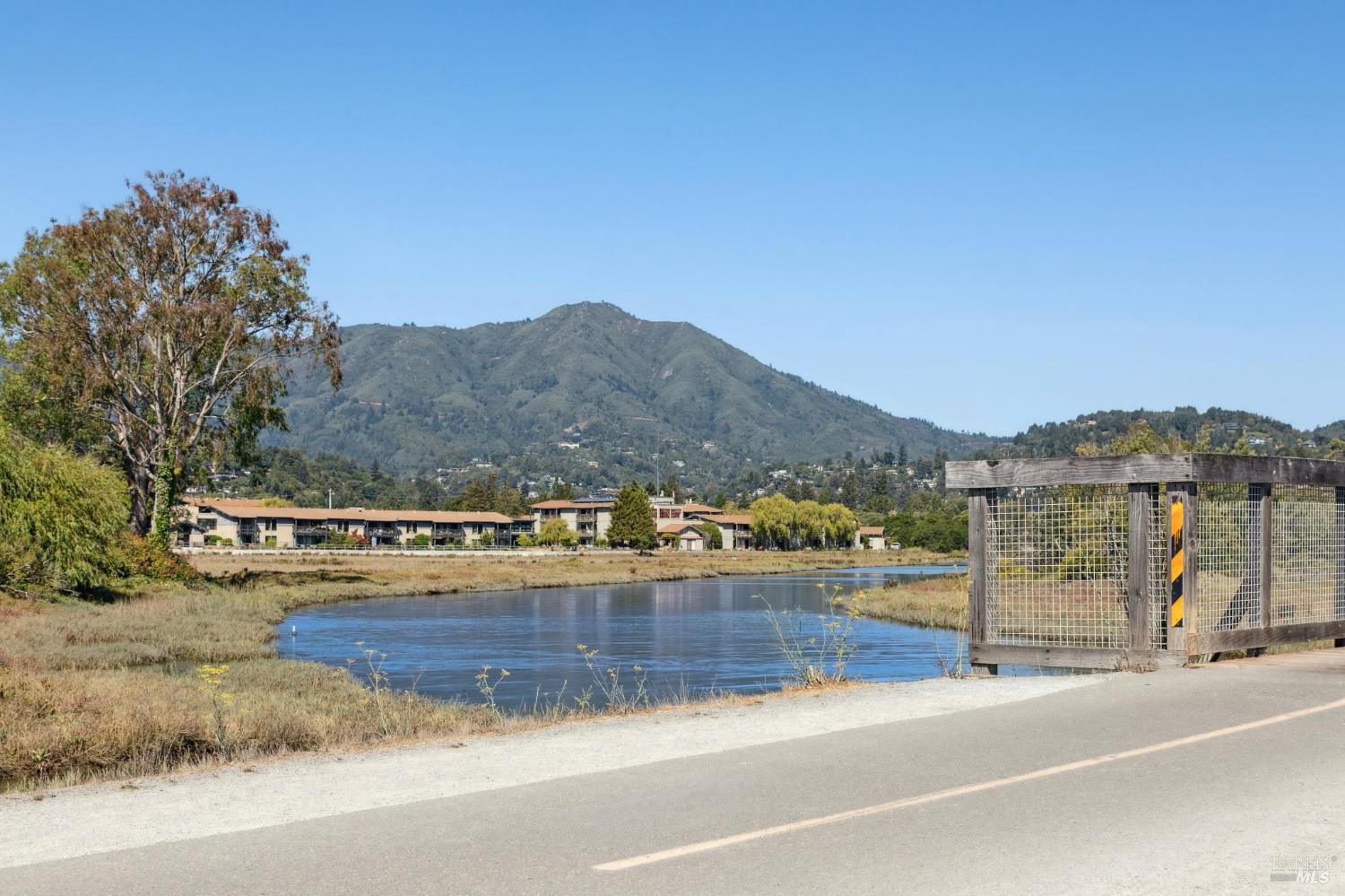 Detail Gallery Image 50 of 52 For 775 Miller Ave, Mill Valley,  CA 94941 - 1 Beds | 1 Baths