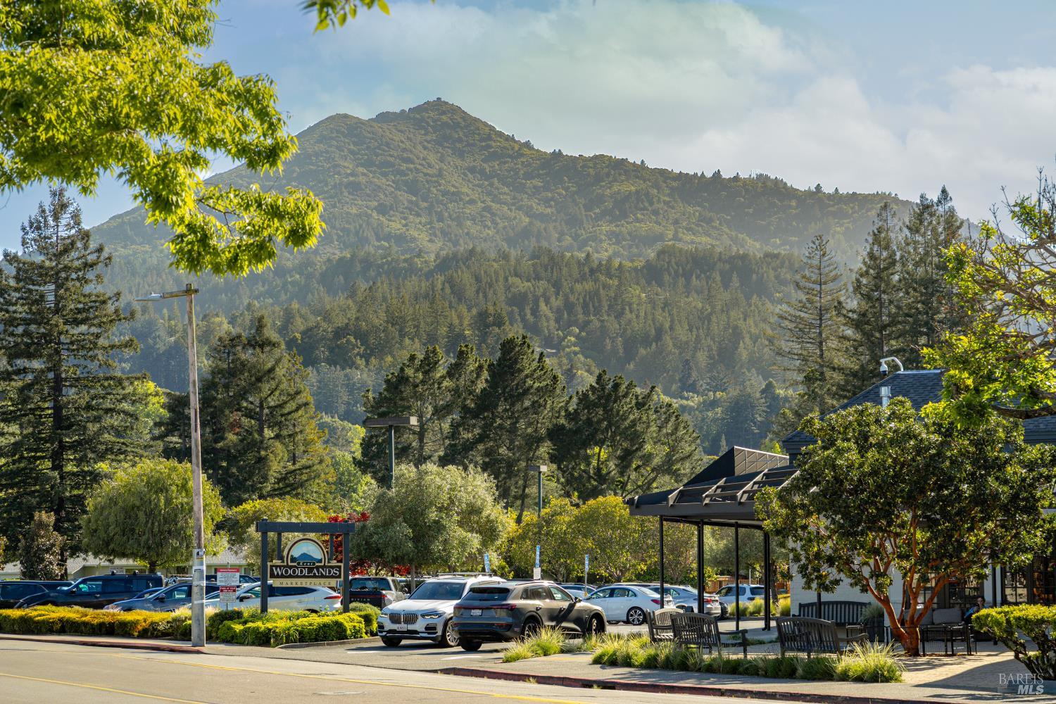 Detail Gallery Image 45 of 53 For 221 S Ridgewood Rd, Kentfield,  CA 94904 - 4 Beds | 3/1 Baths