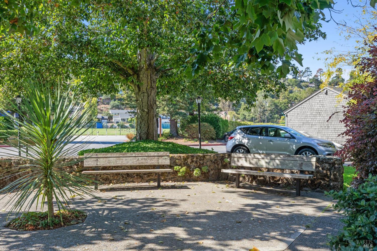 Detail Gallery Image 47 of 52 For 775 Miller Ave, Mill Valley,  CA 94941 - 1 Beds | 1 Baths
