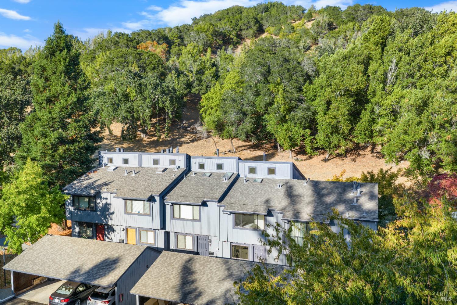 Detail Gallery Image 18 of 47 For 4 Ace Ct, Fairfax,  CA 94930 - 2 Beds | 2/1 Baths