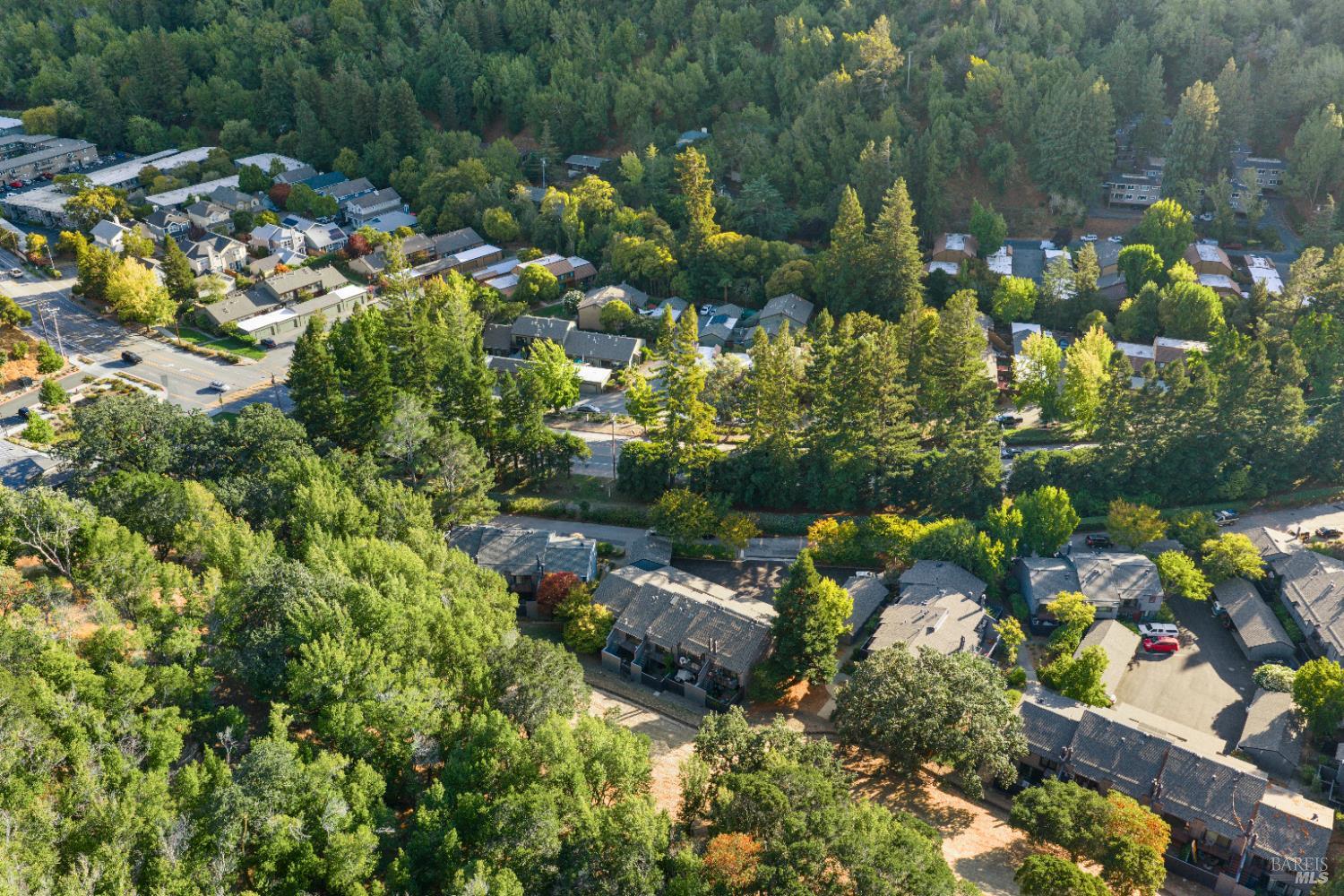 Detail Gallery Image 45 of 47 For 4 Ace Ct, Fairfax,  CA 94930 - 2 Beds | 2/1 Baths
