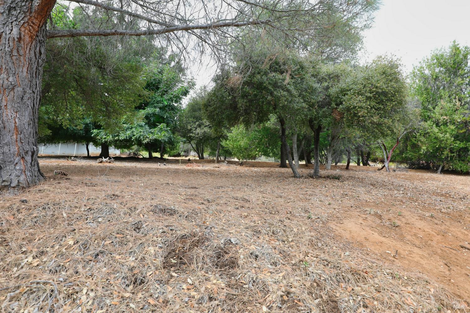 Detail Gallery Image 12 of 14 For 3407 Toyon Ct, Kelseyville,  CA 95451 - – Beds | – Baths
