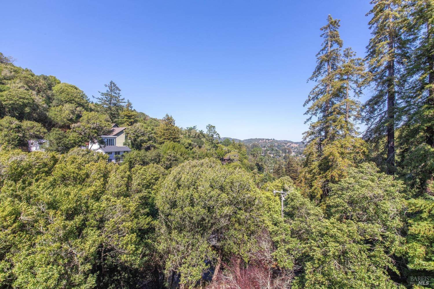 Detail Gallery Image 62 of 63 For 70 Madrone Park Cir, Mill Valley,  CA 94941 - 4 Beds | 2/1 Baths