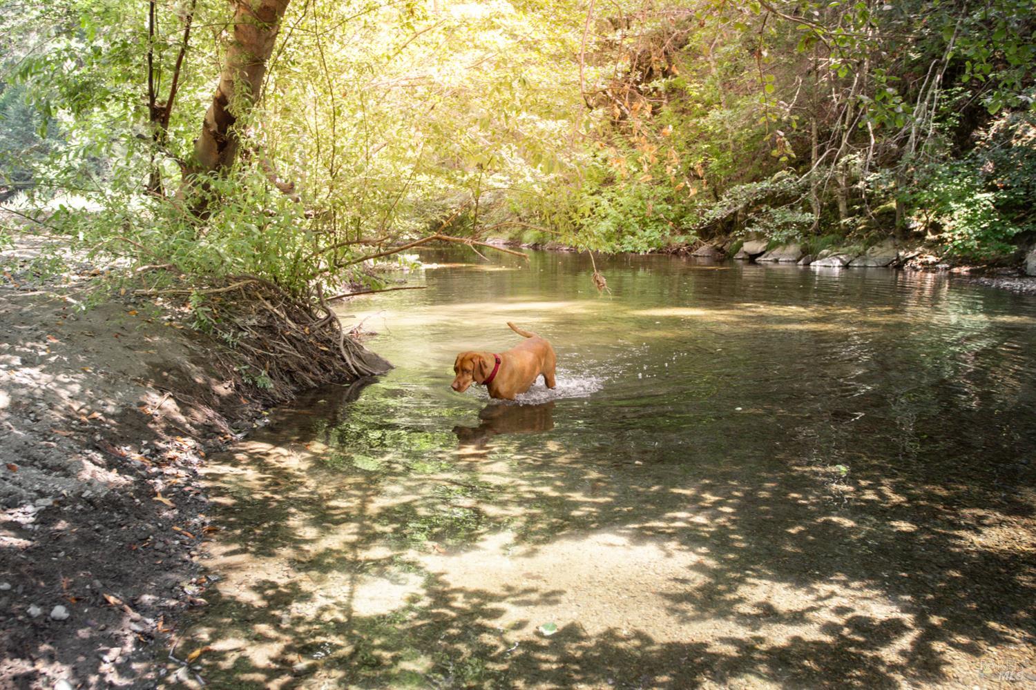 Detail Gallery Image 41 of 49 For 1500 Old Cazadero Rd, Cazadero,  CA 95421 - 3 Beds | 2 Baths